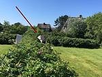 Garten - SyltStern Haus Hasenkuhle - Top-Hundeurlaub
