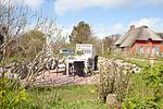 Garten - LH Westermüür, App. 3 - Top-Hundeurlaub