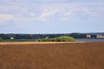 Landschaft - Wolgast  LH-108 - Top-Hundeurlaub