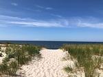 Strand - Ferienwohnung KWi 73 EG "grüne Oase" - Top-Hundeurlaub