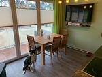 Küche / Küchenzeile - Ferienwohnung KWi 81 OG "Seehund" - Top-Hundeurlaub