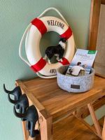 Dekoratives Detail - Ferienwohnung KWi 81 OG "Seehund" - Top-Hundeurlaub