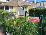 Garten - Ferienwohnung KWi 81 EG "Seeschnecke im Küstenwald" - Top-Hundeurlaub