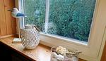 Wohnzimmer - Birkmaase 3 "Muschelblau" EG - Top-Hundeurlaub