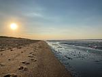 Strand - 49.4.S Waterkant - Top-Hundeurlaub