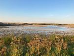 Landschaft - 49.4.S Waterkant - Top-Hundeurlaub