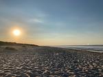 Strand - 49.4.S Waterkant - Top-Hundeurlaub