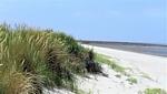 Strand - 50.3.N Nordkoje - Top-Hundeurlaub