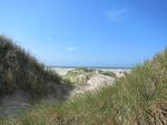 Strand - 50.4.N Nordkoje - Top-Hundeurlaub