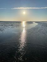 Strand - 49.4.M Ankerplatz - Top-Hundeurlaub