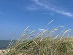 Strand - 49.4.M Ankerplatz - Top-Hundeurlaub