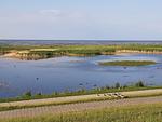 Landschaft - 50.0.S Waterkant - Top-Hundeurlaub