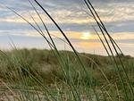 Strand - 50.0.S Waterkant - Top-Hundeurlaub