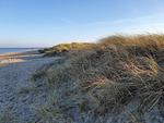 Strand - 49.3.M Ankerplatz - Top-Hundeurlaub