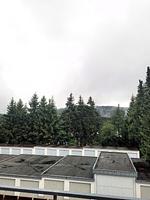 Winterberg Appartement 21028 - Top-Hundeurlaub