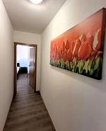 Winterberg Appartement 21085 - Top-Hundeurlaub