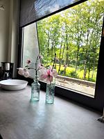 Winterberg Appartement 21097 - Top-Hundeurlaub