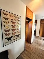 Winterberg Appartement 21097 - Top-Hundeurlaub