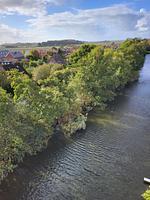 Landschaft - 49.5.S Waterkant - Top-Hundeurlaub