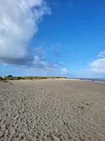 Strand - 49.5.S Waterkant - Top-Hundeurlaub