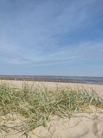 Strand - 50.0.M Ankerplatz - Top-Hundeurlaub