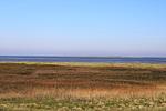 Strand - 50.0.M Ankerplatz - Top-Hundeurlaub