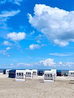 Strand - 50.0.M Ankerplatz - Top-Hundeurlaub