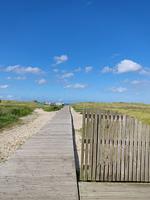 Strand - 50.0.M Ankerplatz - Top-Hundeurlaub