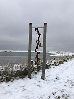 Strand - 50.1.N Nordkoje - Top-Hundeurlaub