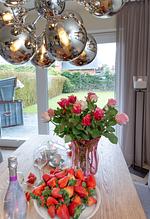 Family Hüs - Top-Hundeurlaub