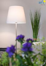 Dekoratives Detail - Ferienwohnung Sandröschen - Top-Hundeurlaub