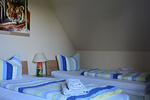 Ferienwohnung Seeadler mit Balkon und eigener Terrasse an den Dünen - Top-Hundeurlaub