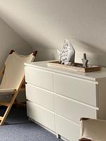 Fenster - Top-Hundeurlaub