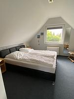Fenster - Top-Hundeurlaub
