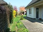 Fenster - Top-Hundeurlaub