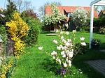 Fenster - Top-Hundeurlaub