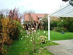 Fenster - Top-Hundeurlaub