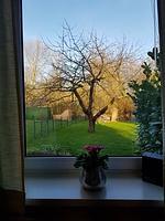 Luise 1 - Top-Hundeurlaub