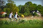 Landschaft - Seestern - Top-Hundeurlaub