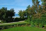 Meerblick - Seehund - Top-Hundeurlaub