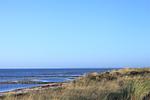 Strand - Seehund - Top-Hundeurlaub