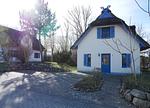 Hauptansicht - Mohnblume - Top-Hundeurlaub