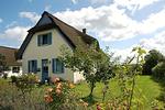 Lavendel - Top-Hundeurlaub