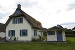 Lavendel - Top-Hundeurlaub