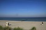 Lavendel - Top-Hundeurlaub