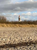 Strandrose - Top-Hundeurlaub