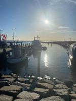 Strandrose - Top-Hundeurlaub