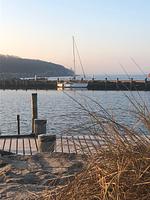 Strandrose - Top-Hundeurlaub