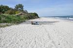 Rote Kate - Top-Hundeurlaub