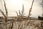Strand - H081 - Top-Hundeurlaub